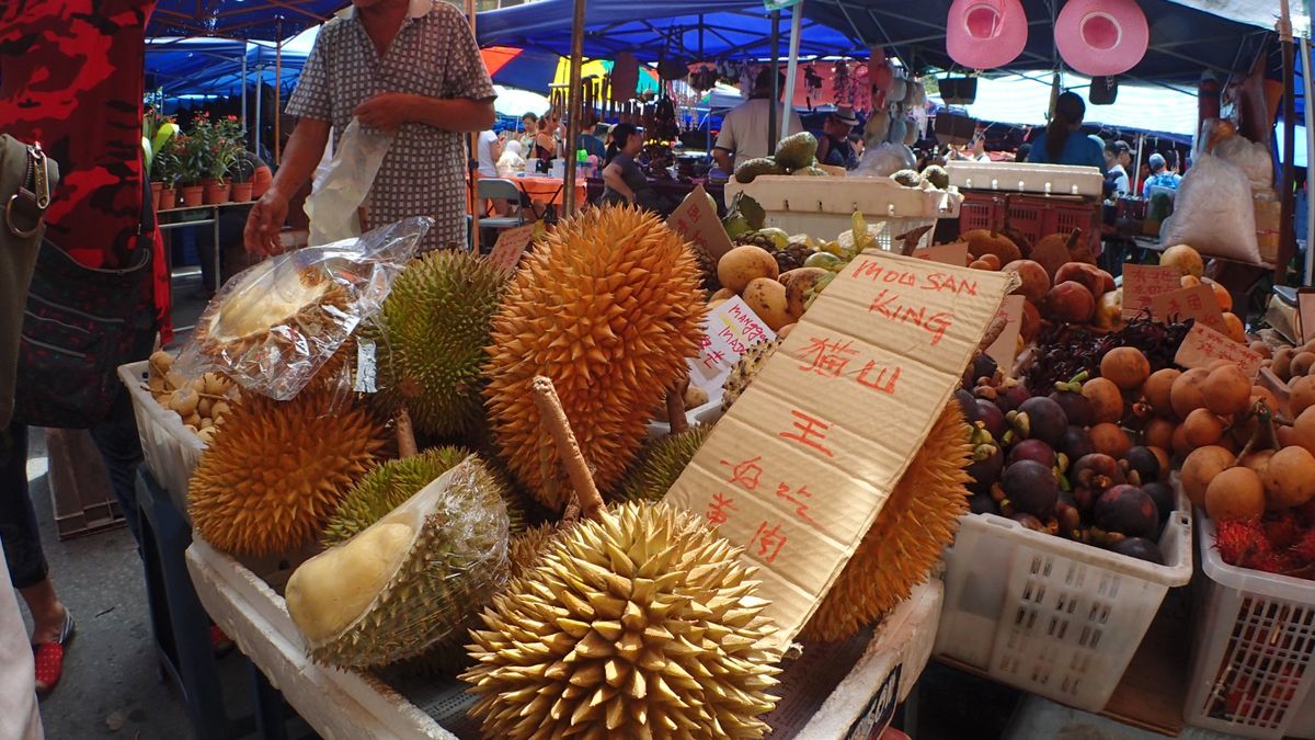 【サンデーマーケット】