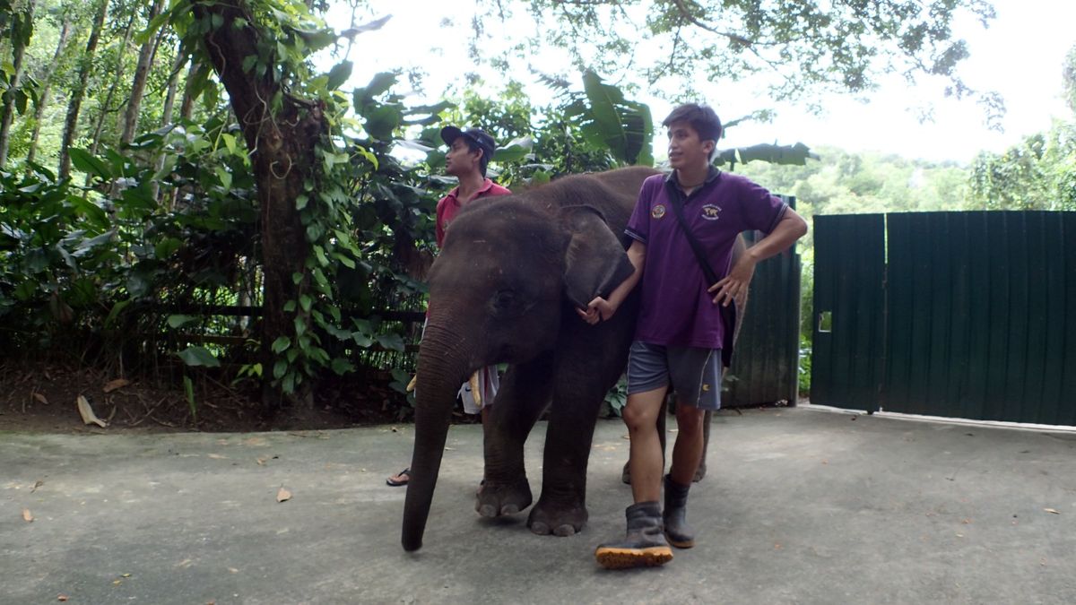 【ロッカウィ動物園】