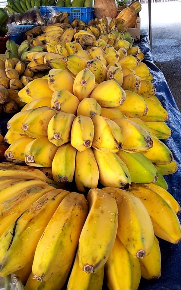 アメリカ(米国)・グアム「グアム」の写真：【たて画像：snap】