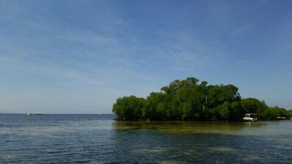 インドネシア・バリ　クタ　ウブド「バリ」の写真：snap