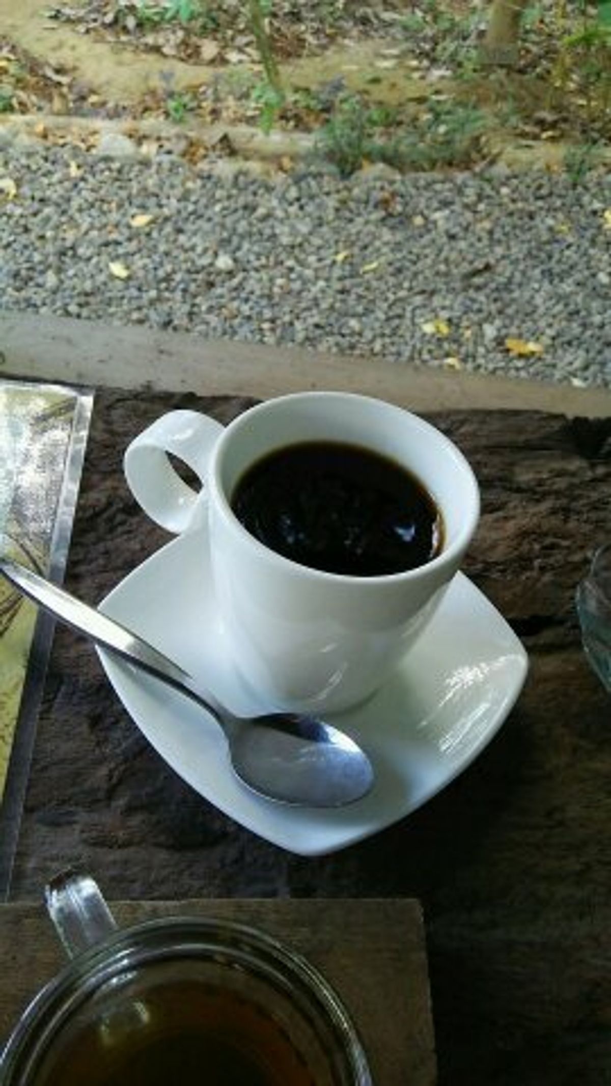 snap/ジャコウネココーヒー