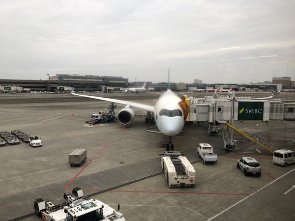 香港・香港「2024.01SGN」の写真：きょうのお船
359
エコノミィですがな...