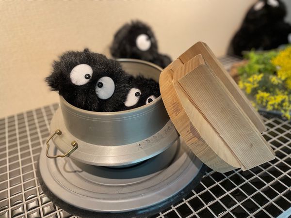 日本・岩手県「Iwate」の写真：大沢温泉　菊水館