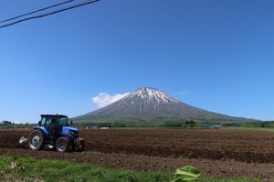 早朝から行動開始。小樽から寿都へ向かう。友人と合流し、しらす会館で生しらす...