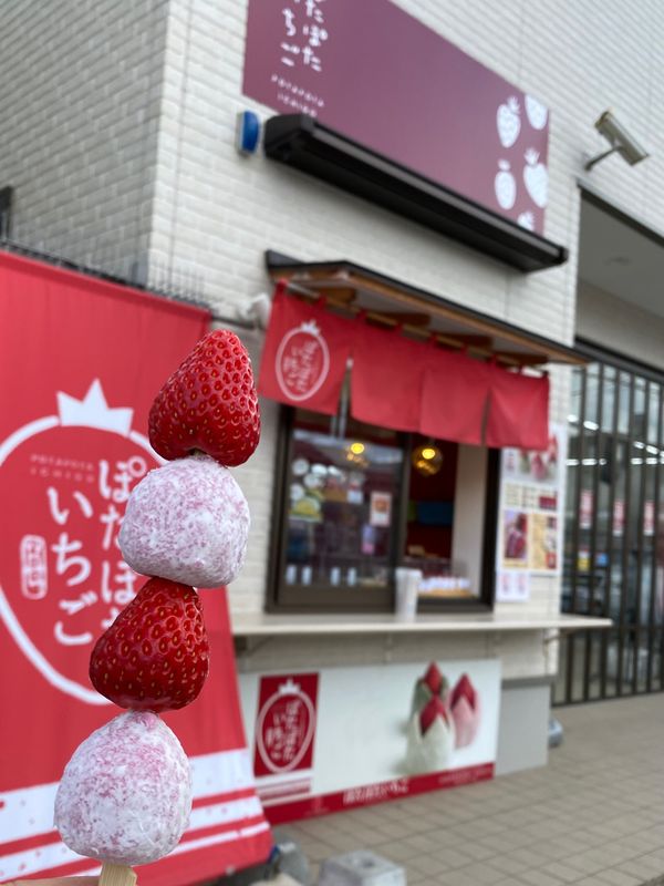 日本・ニセコ「北海道　小樽•寿都•ニセコ周辺グルメ旅」の写真：小樽らしい景色を楽しみながら、ぽたぽたい...