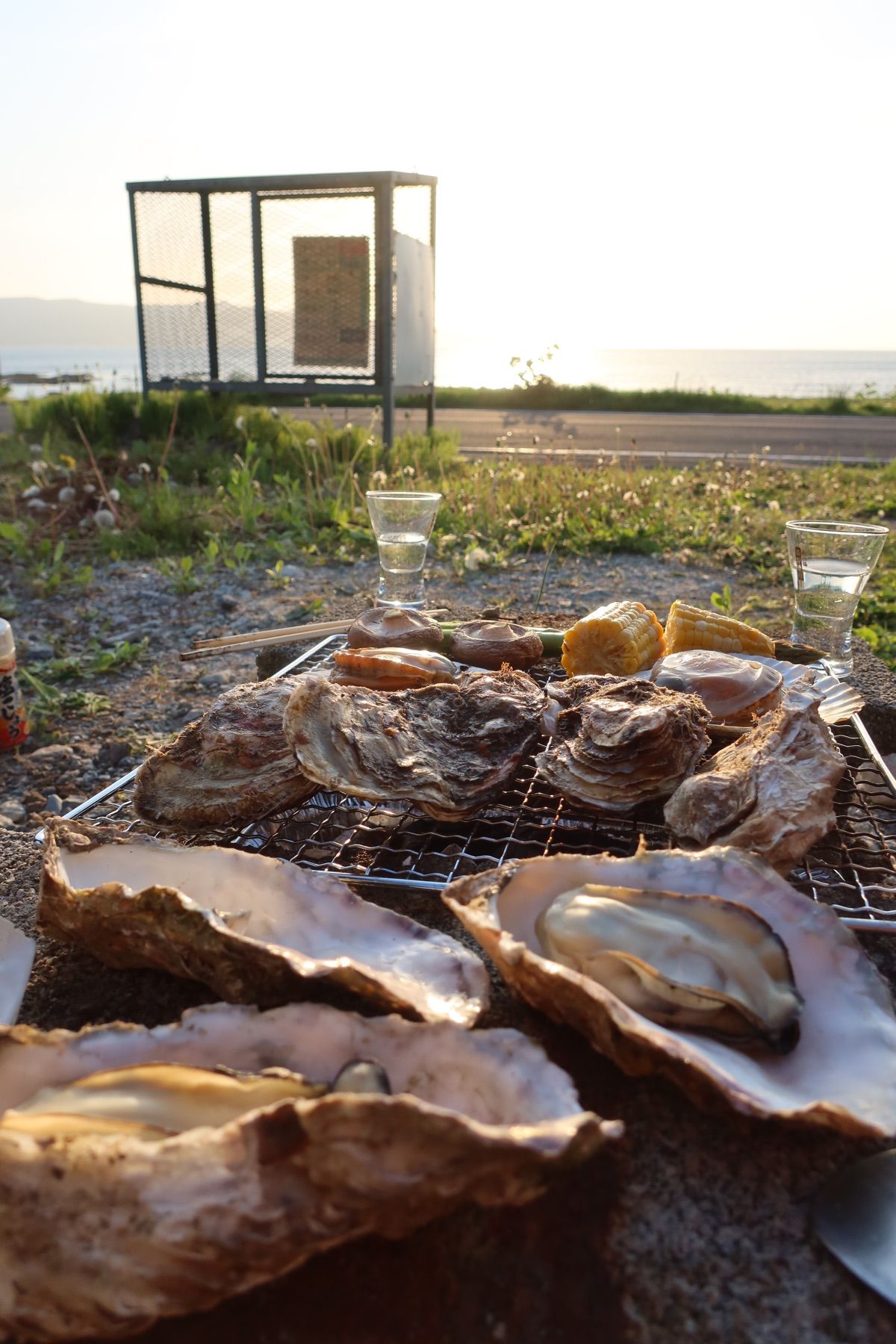 のんびりドライブを楽しみながら、寿都の宿泊先へ。
途中、直売所で海産物ゲッ...