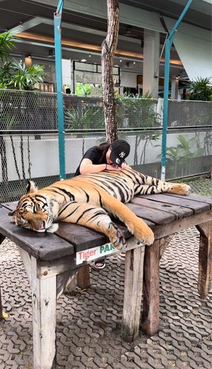 楽しかった出来事たち♡