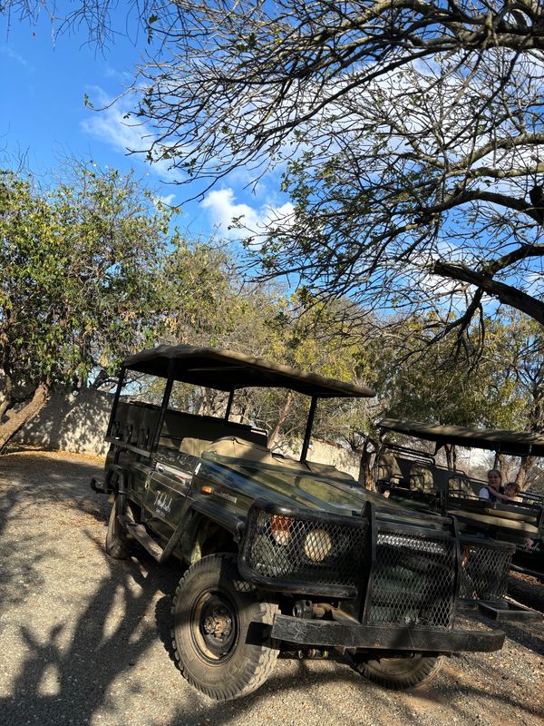 南アフリカ・ケープタウン「家族旅2024 In 南アフリカ」の写真：シープにのってサファリへGo！！