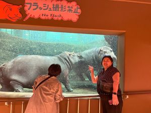 旭山動物園のカバちゃんが1番アクティブ☝️