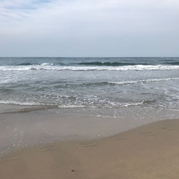 日本・茨城県「茨城」の写真