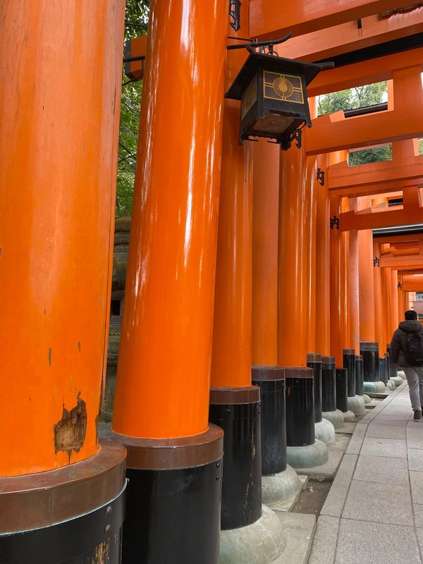日本・京都府「京都」の写真