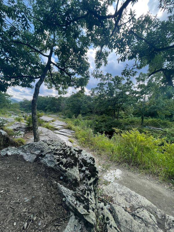 日本・埼玉県「長瀞旅行」の写真