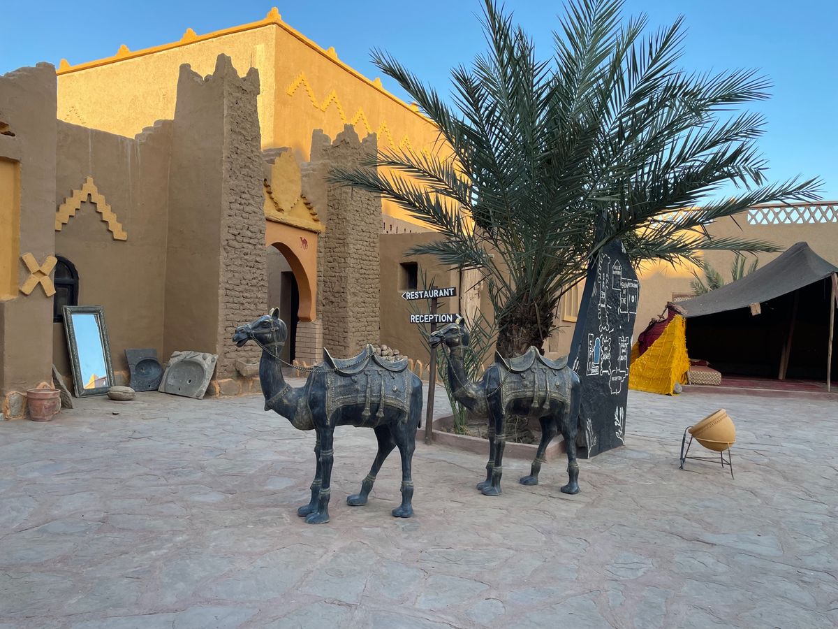 砂漠キャンプ前に宿泊した砂漠ホテルがマジで最✨
ずーっと居たかった
夜のプ...