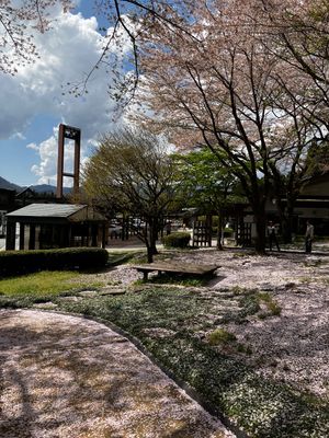 横川ＳＡの桜
美しい😍