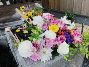 勝林寺の花手水