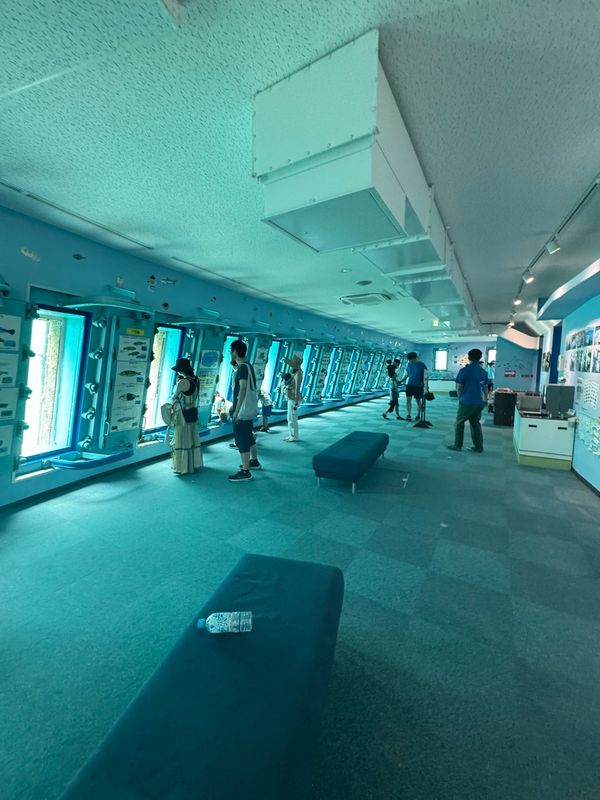 日本・宮古島「宮古島 家族旅行 宮古島来間リゾート シーウッドホテル」の写真：宮古島海中公園

直接海の中で魚を見れる...