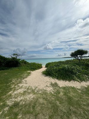 渡口の浜　伊良部島

このビーチは過去一素晴らしいかもしれない。遠浅で、波...