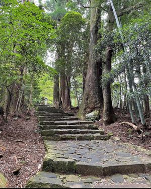 Day2
今回の旅のメイン
熊野古道へ
専属のガイドさんがめちゃくちゃいい...