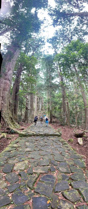 Day2
今回の旅のメイン
熊野古道へ
専属のガイドさんがめちゃくちゃいい...