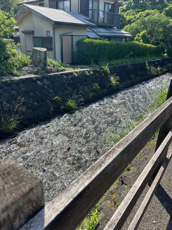 日本・静岡県「伊豆高原」の写真