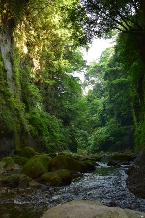 旧豊後森機関庫
由布川峡谷
伐株山