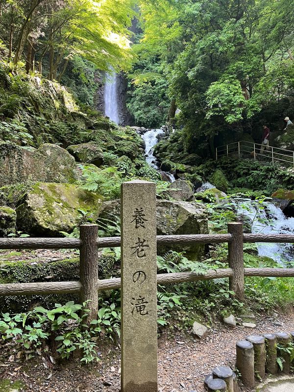日本・岐阜県「👬 養老焼肉街道日帰り旅」の写真
