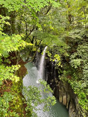 Day3-1
高千穂散策
ボート天気が悪かったので乗るの控えました
