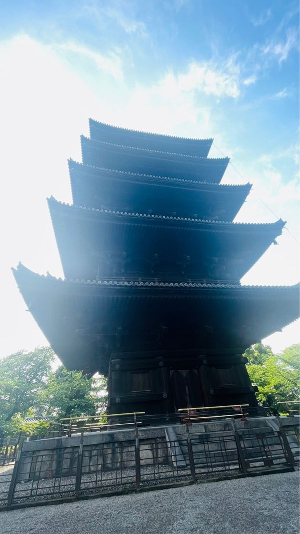日本・京都府「京都散策」の写真
