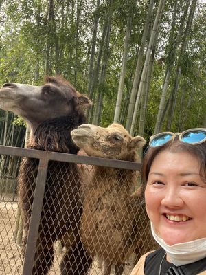 Day1-3
ぞうの国の姉妹園
サユリワールド
ここも、絶対来る！！
ふれ...