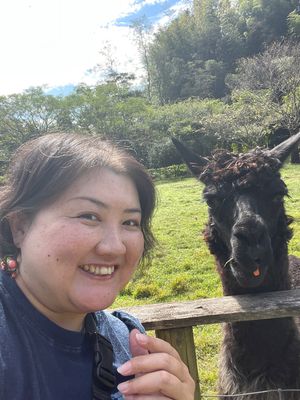 Day1-1
志村動物園で観ていた袖ヶ浦ふれあいどうぶつ縁へ
手作りの動物...