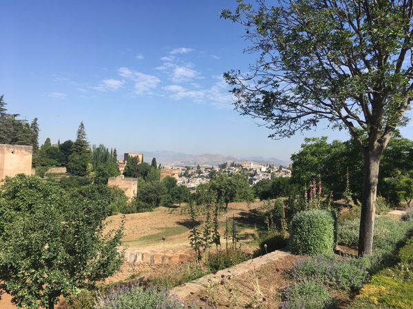 スペイン・Barcelona「友旅2019 スペイン」の写真：グラナダ 
ここに来たメインは
アルハン...