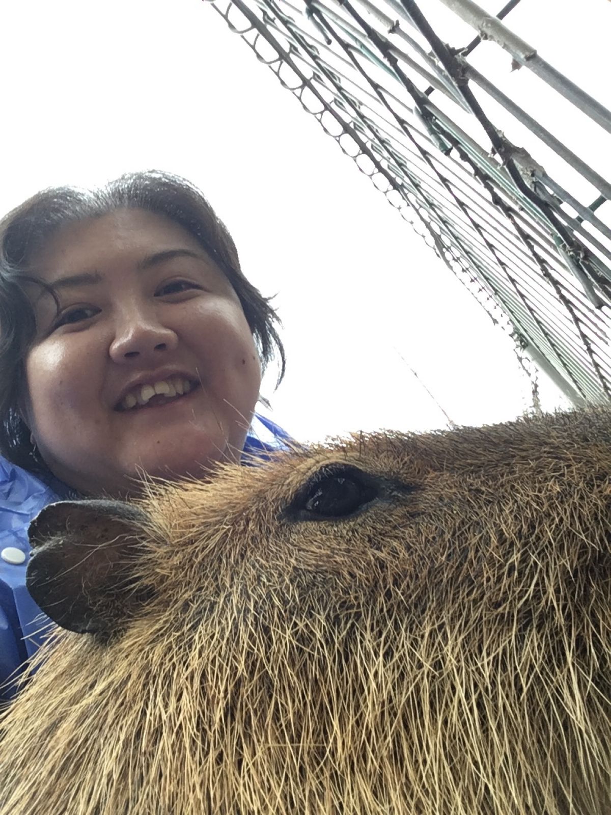 大好きな
アニマルキングダム伊豆
今回はホワイトタイガーの餌付け体験しまし...