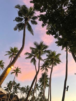 パラオ🇵🇼
サンセット特集
マジて癒される。