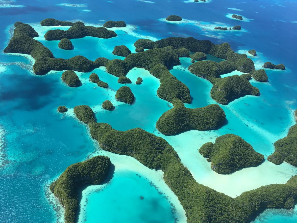 世界遺産のパラオの海
空から眺めるのいかがでしょ！？
パラオ発着便は深夜な...