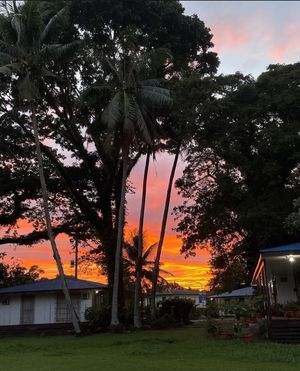 パラオ🇵🇼
サンセット特集
マジて癒される。