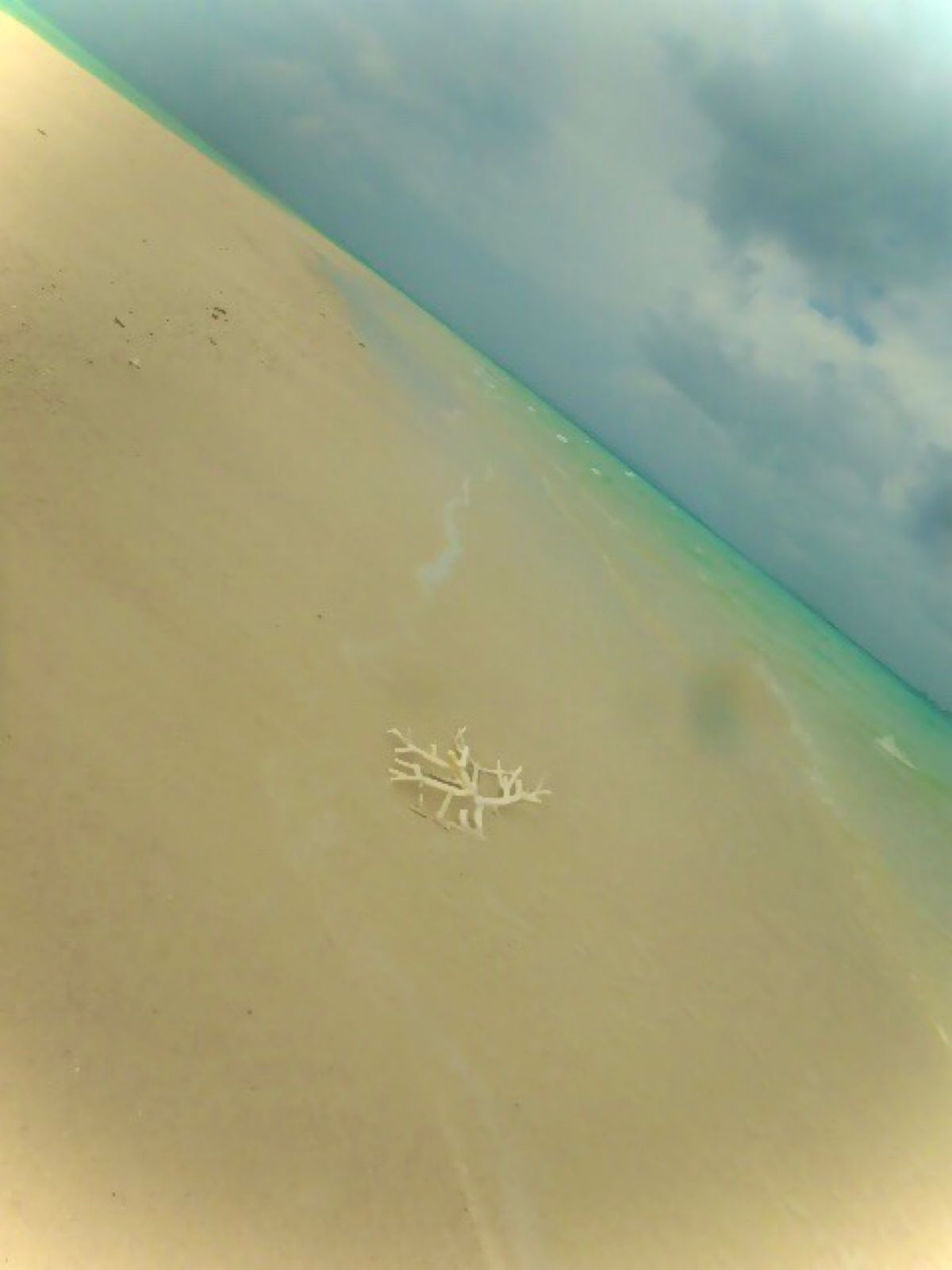 Supで海散歩
干潮の時に出てくるサンドバーでランチ
なんて世話いたくない時間！