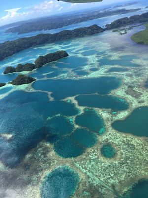 世界遺産のパラオの海
空から眺めるのいかがでしょ！？
パラオ発着便は深夜な...