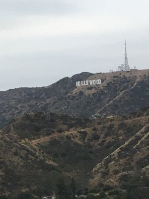 Hollywood 
LAの定番スポット！
あのスターに自分の名前入れられ...