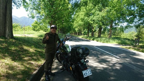 日本・滋賀県「メタセコイア」の写真