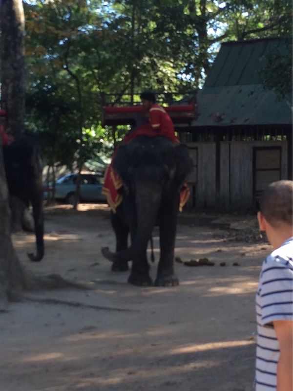 ベトナム「高校修学旅行」の写真