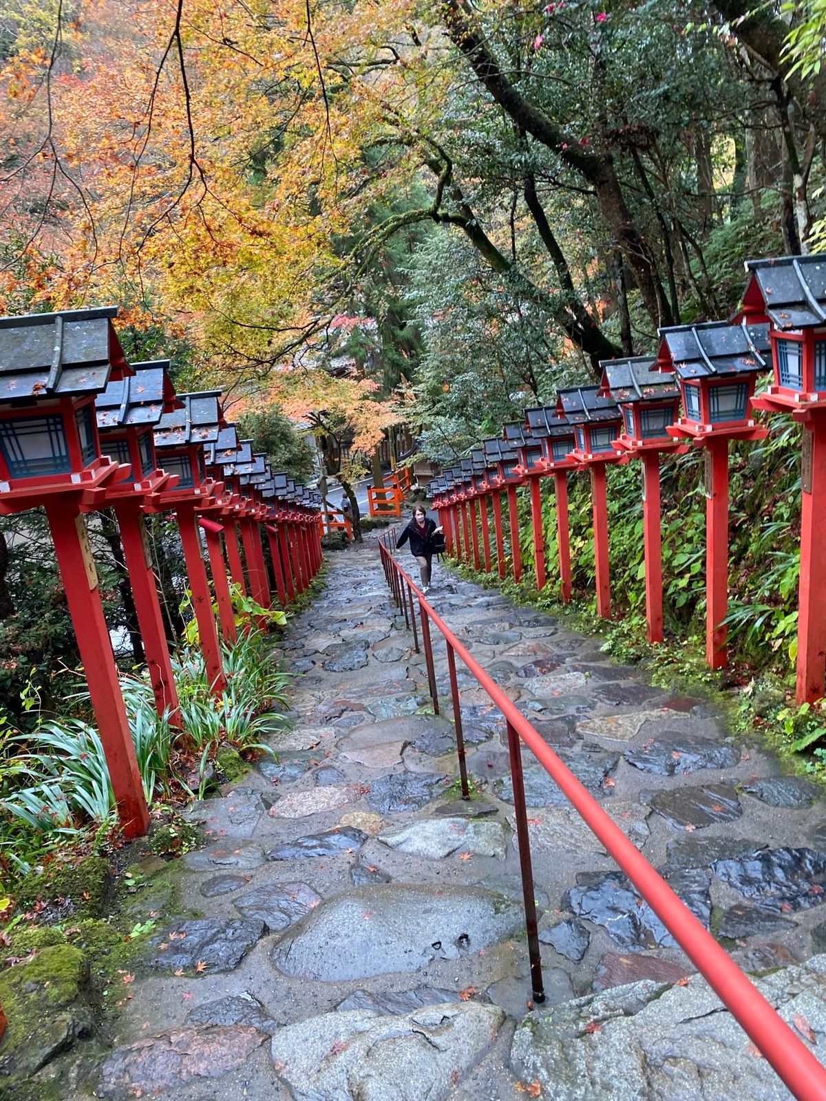秋の京都は紅葉も綺麗で素敵な誕生日旅行になりました♪