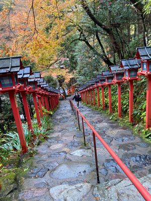 秋の京都は紅葉も綺麗で素敵な誕生日旅行になりました♪