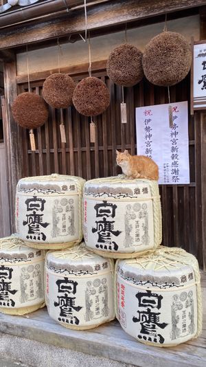 伊勢に行けてご利益があると感じました♪♪♪
これからも幸せの波動を強めてい...