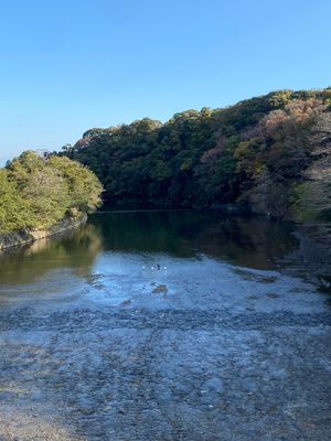 伊勢に行けてご利益があると感じました♪♪♪
これからも幸せの波動を強めてい...
