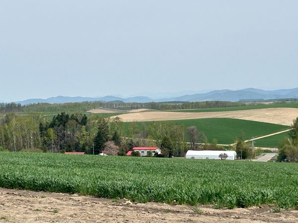 日本・北海道「北海道旅行」の写真