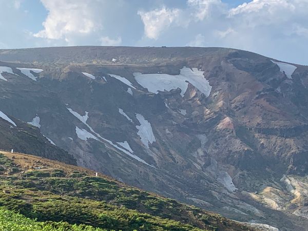 日本・宮城県「山形さくらんぼ」の写真