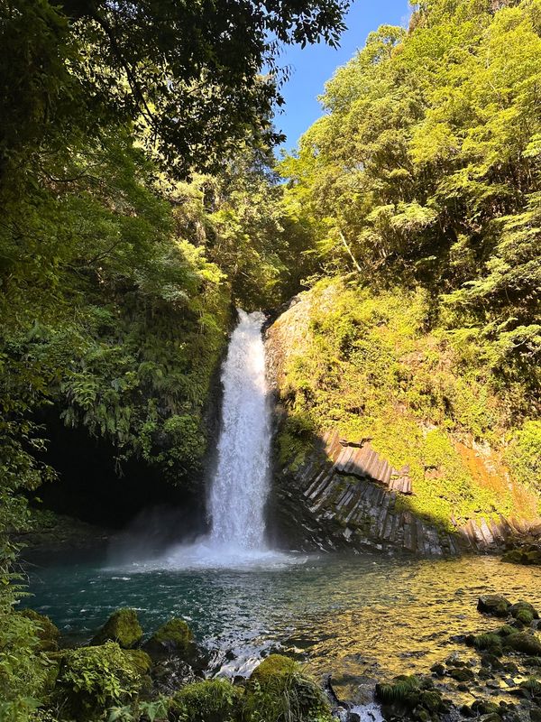 日本・静岡県「伊豆稲取蕎麦の旅」の写真