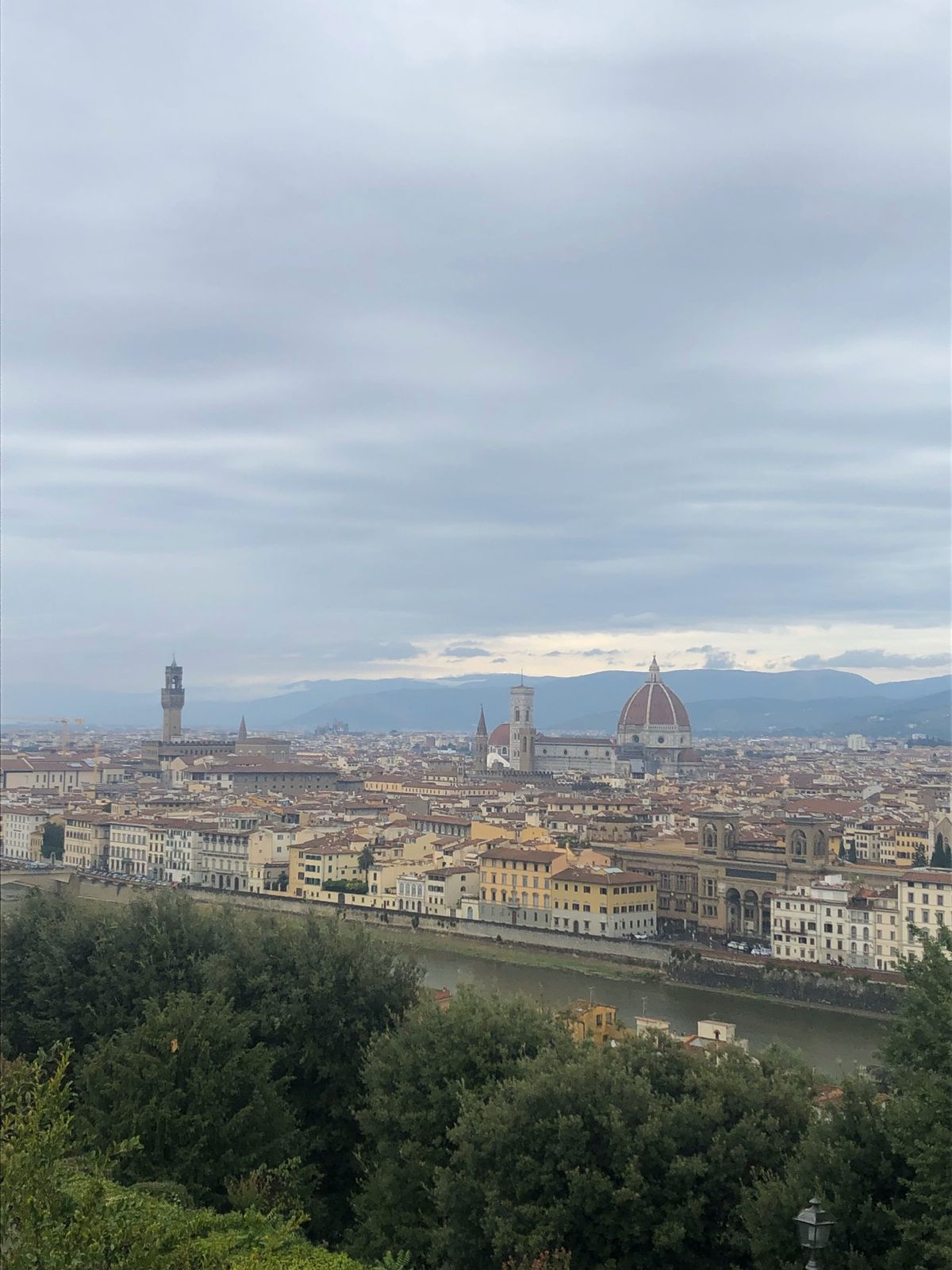 フィレンツェは残念ながら雨☂️
ピサの斜塔も雨☂️
けどビールは飲む🍺
