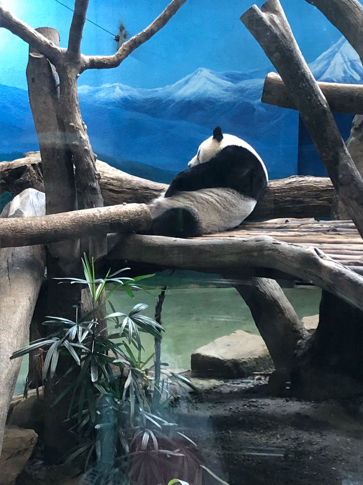 最終日は動物園へ。