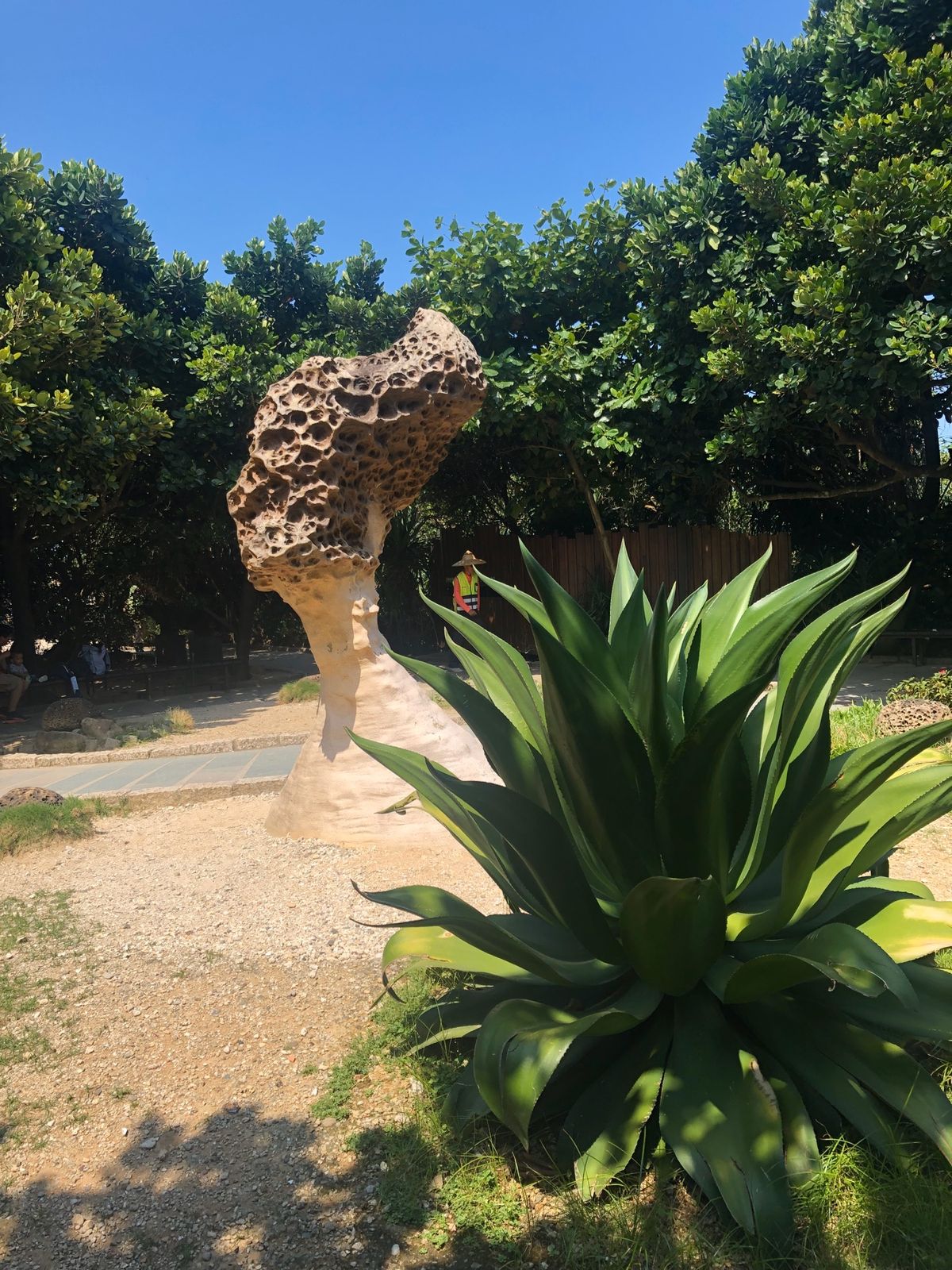 朝食は梁記嘉義鶏肉飯♫実はテイクアウトでランチも同じ物を食べました笑
バス...